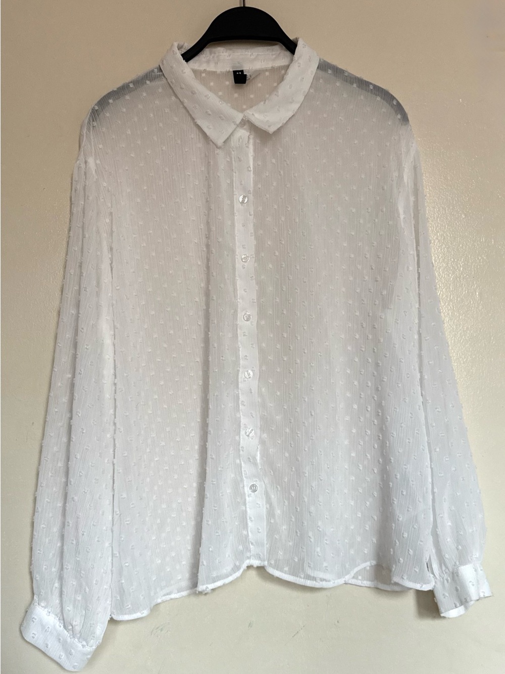 White Sheer Swiss Dot Button-Down Blouse